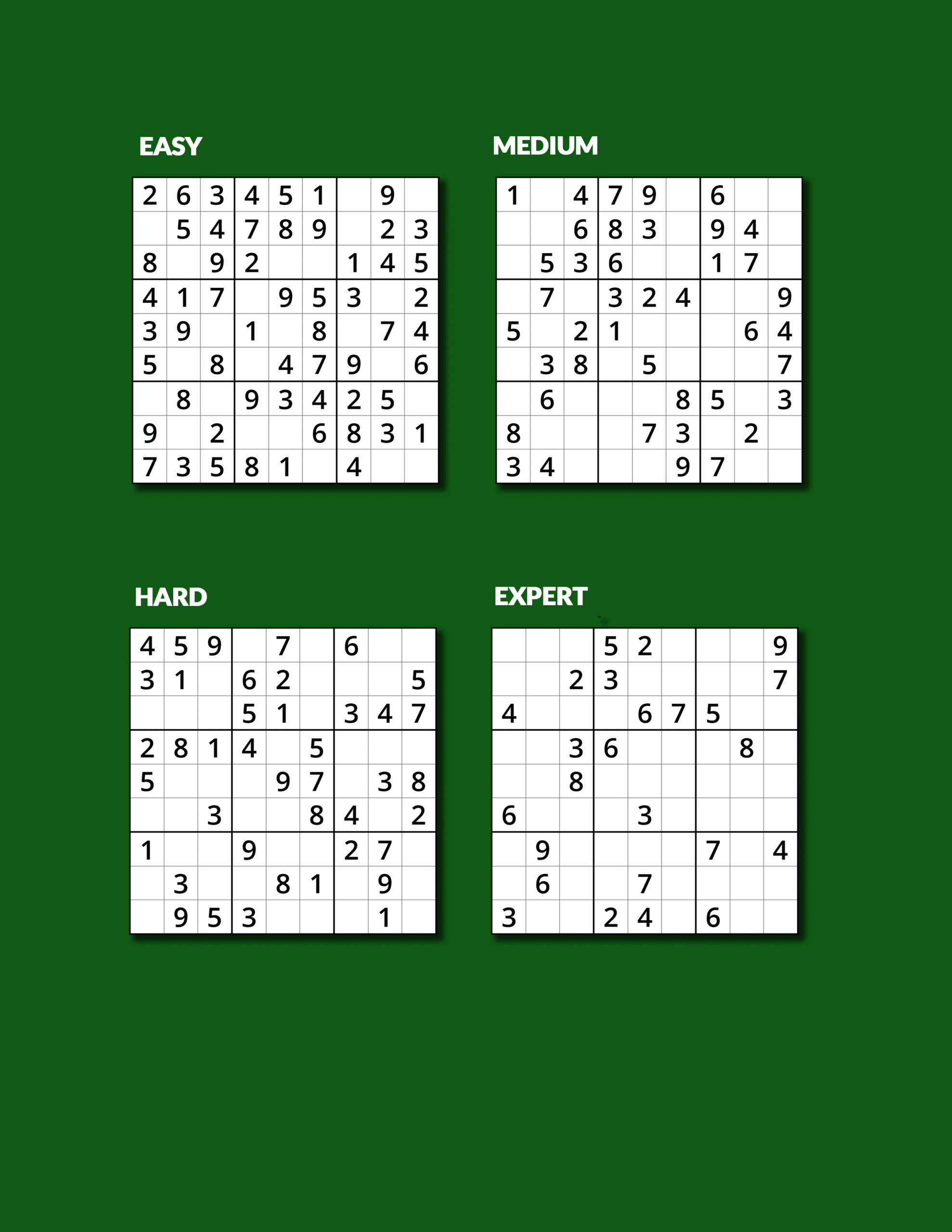 Sudoku 1000 Puzzles for Adults - Image 3