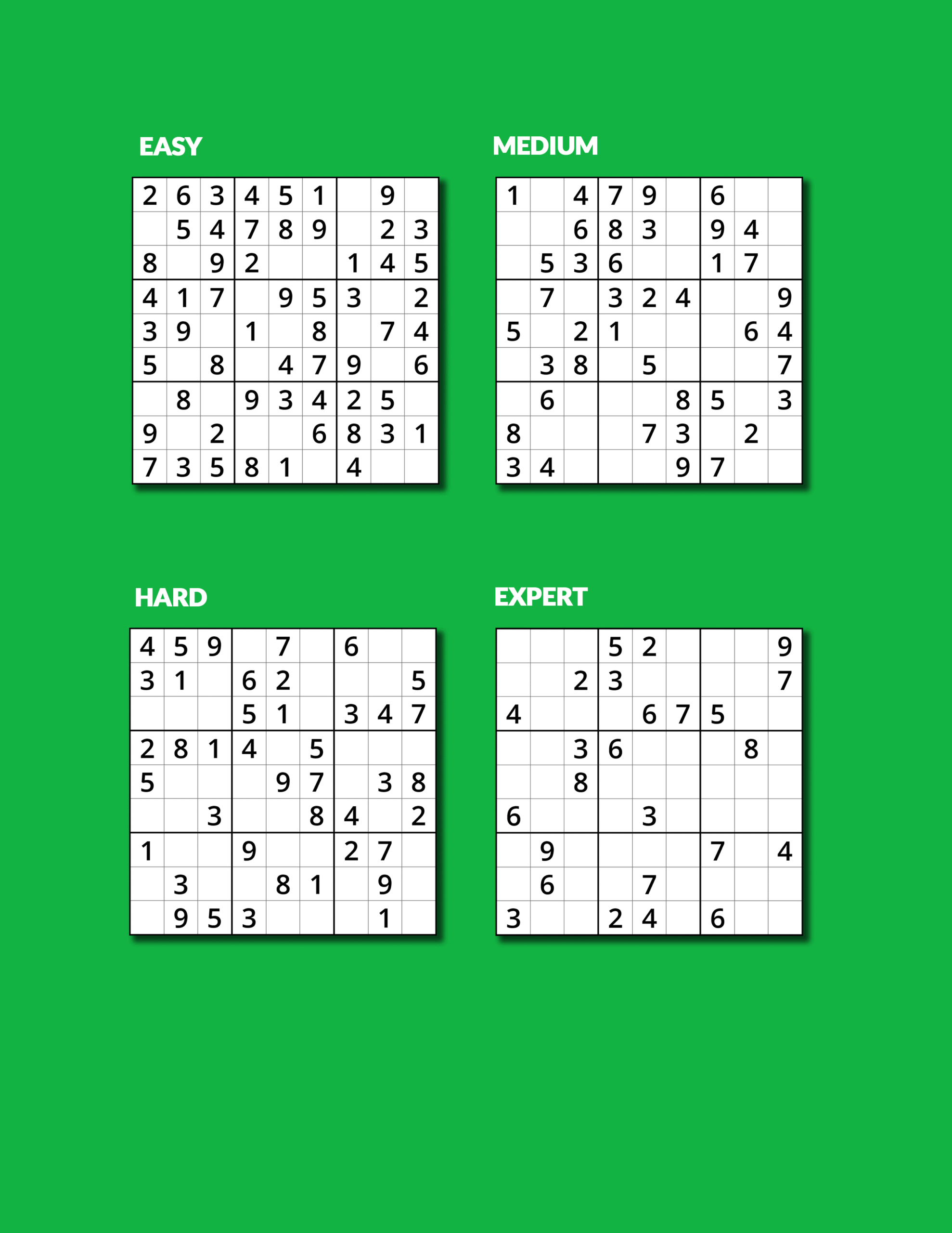 Sudoku 1000 Puzzles for Adults Vol.8 - Image 3
