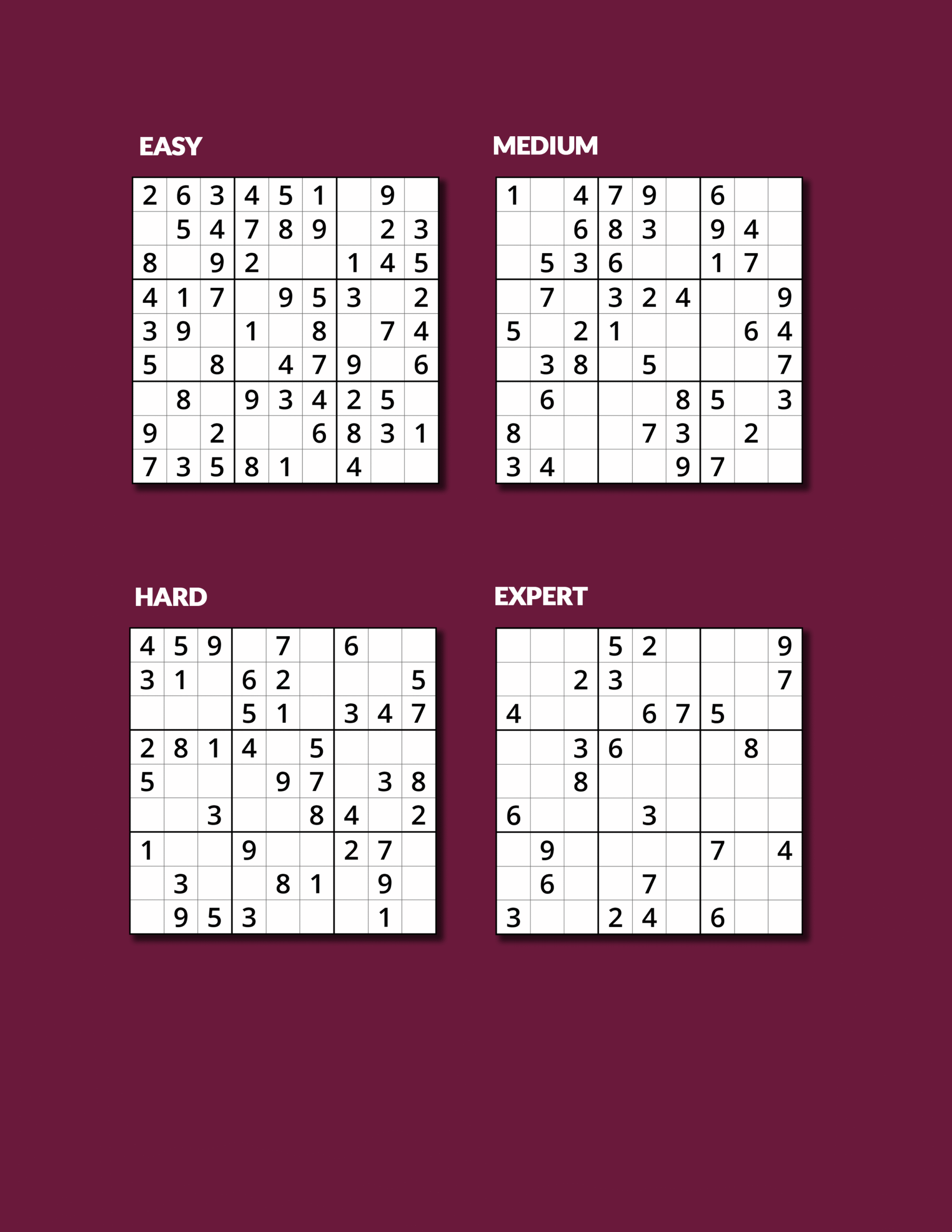 Sudoku 1000 Puzzles for Adults Vol.12 - Image 3