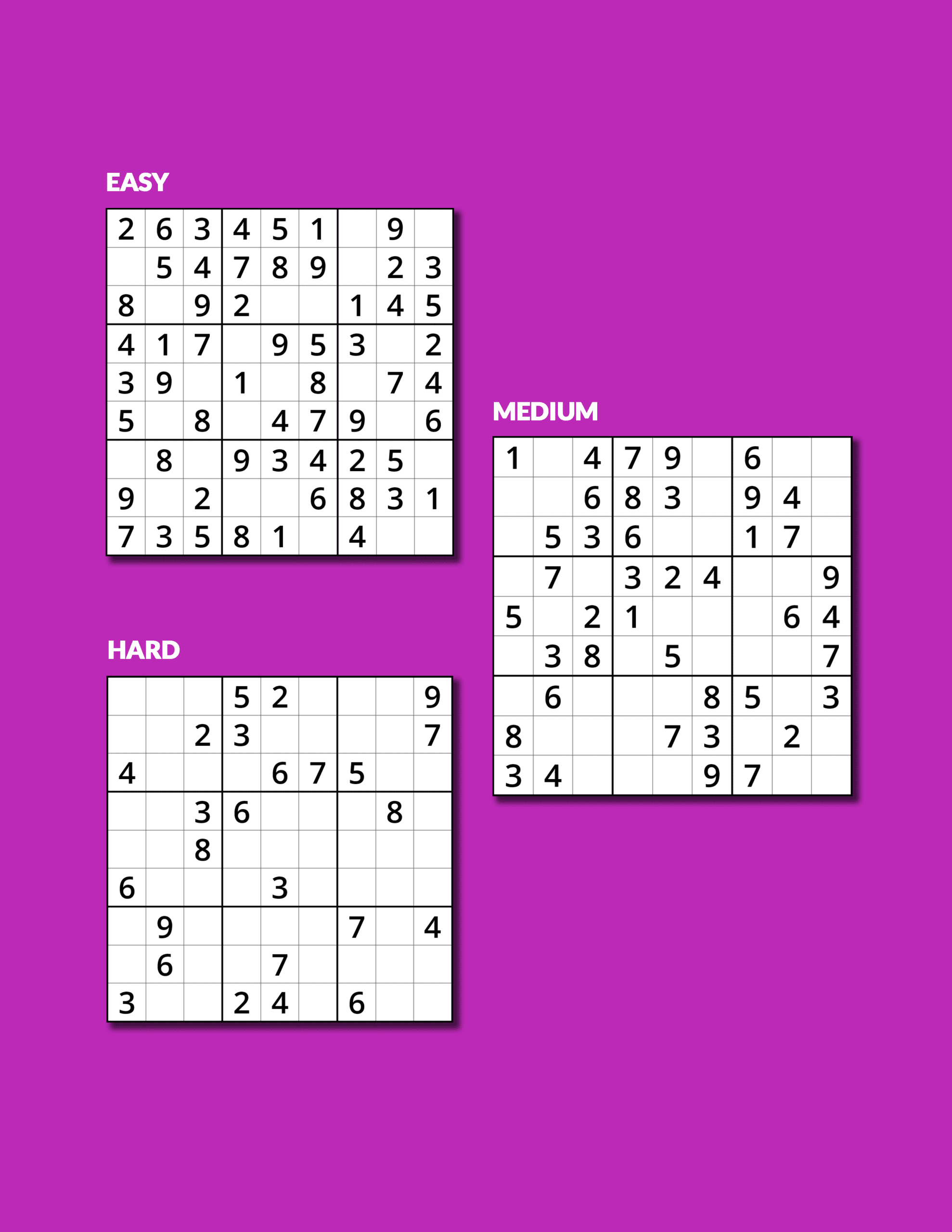 sudoku easy to hard large print