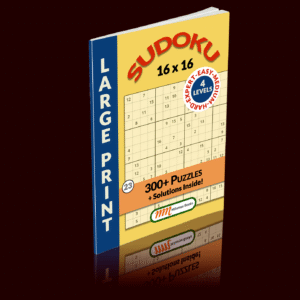 16×16 Sudoku Puzzles